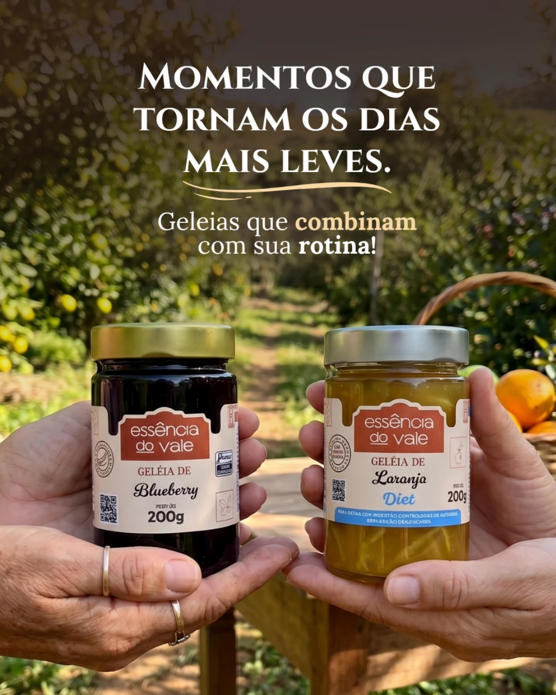 Geleia de Laranja com Pedaços de Casca Diet Sem Adição de Açúcar 200g - Imagem 2
