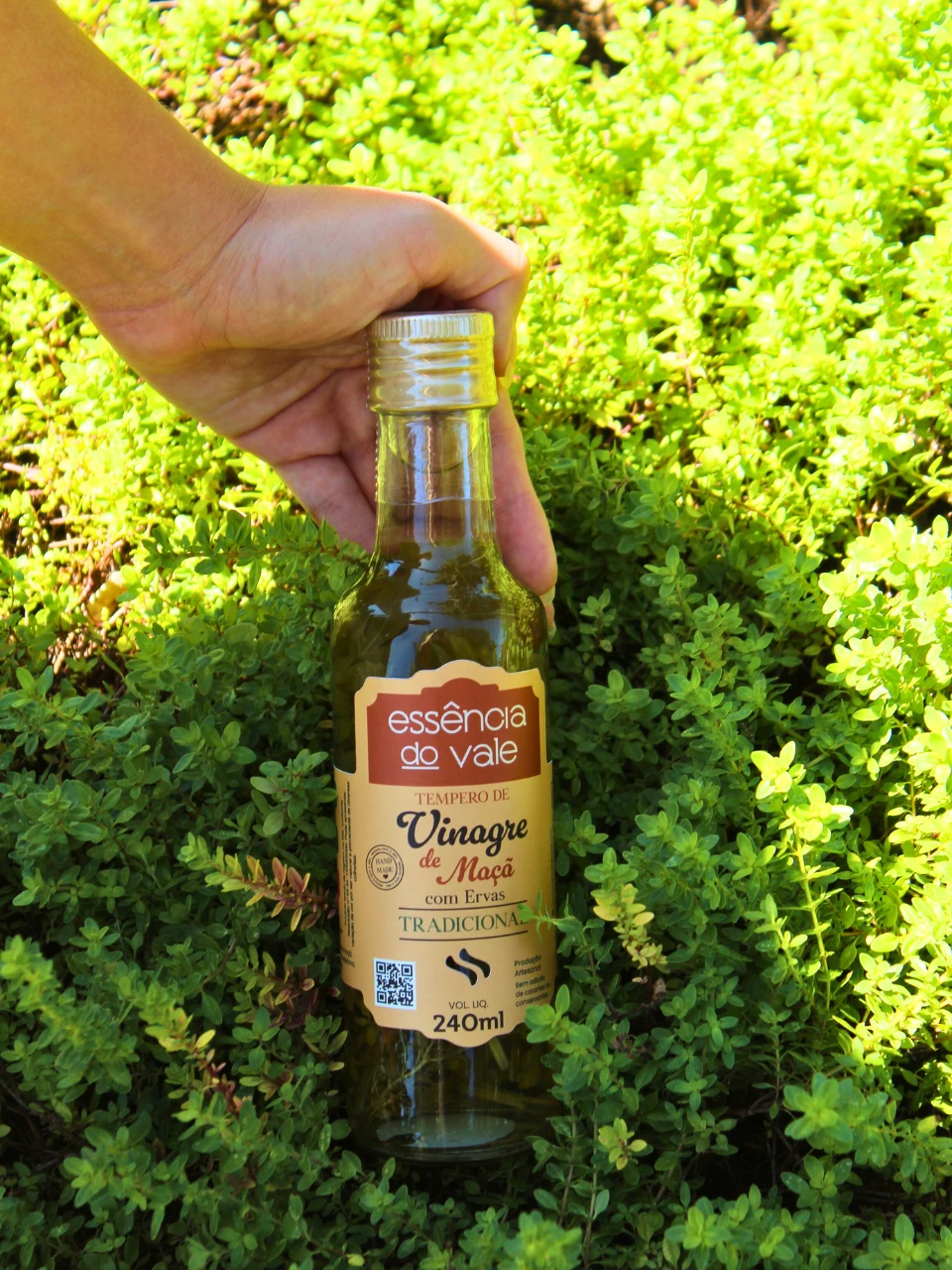 Vinagre Aromatizado com Ervas Tradicional 240ml - Imagem 2