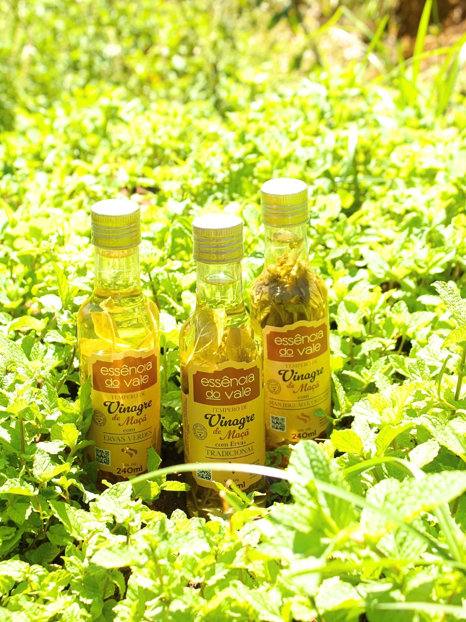 Vinagre Aromatizado com Ervas Tradicional 240ml - Imagem 3