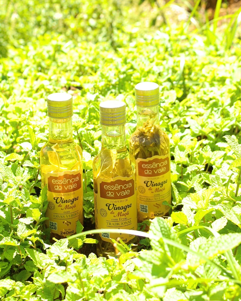 Vinagre Aromatizado com Ervas Verdes 240ml - Imagem 3