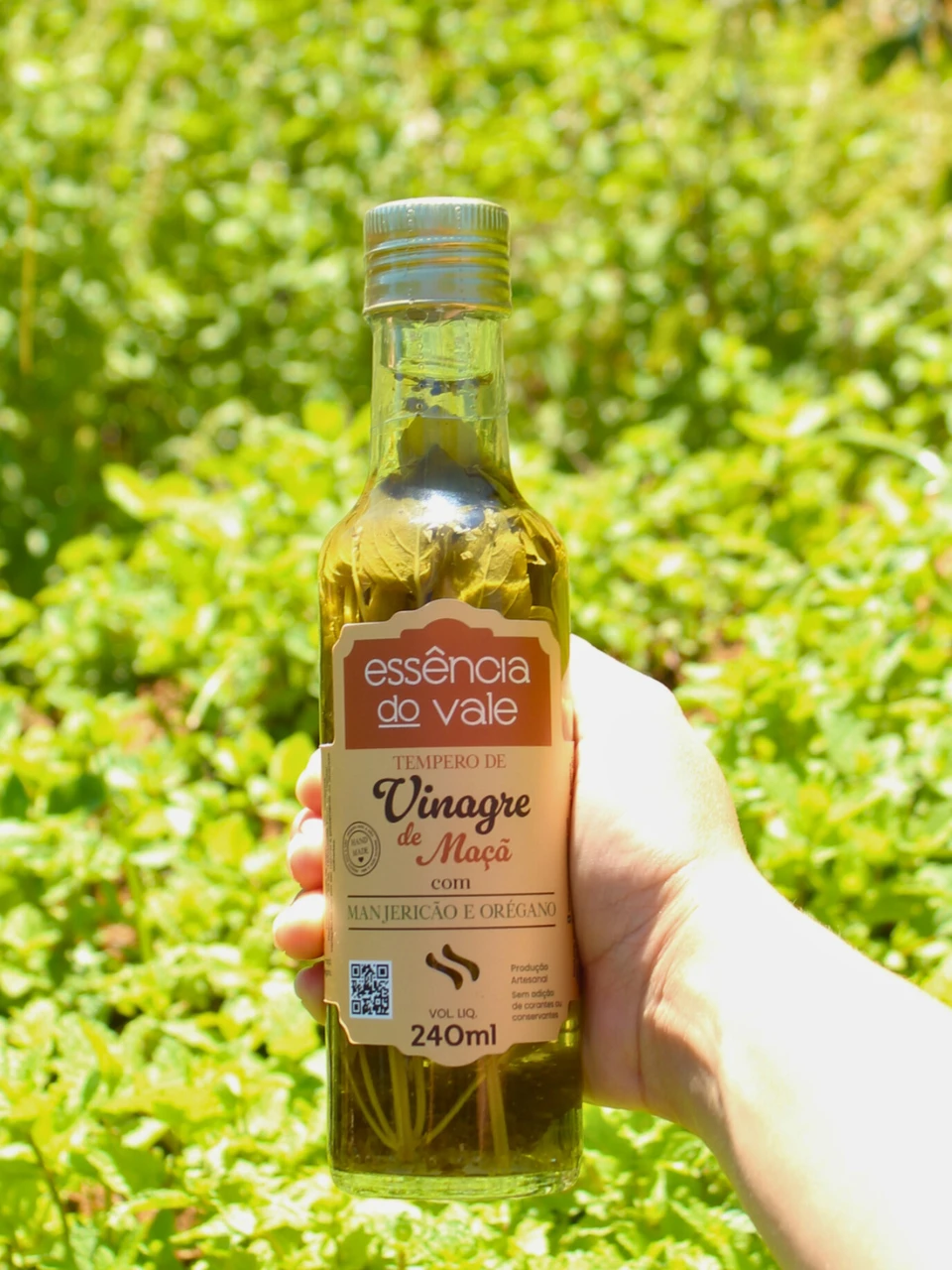 Vinagre Aromatizado com Manjericão e Orégano 240ml - Imagem 2